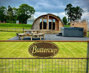 Buttercup